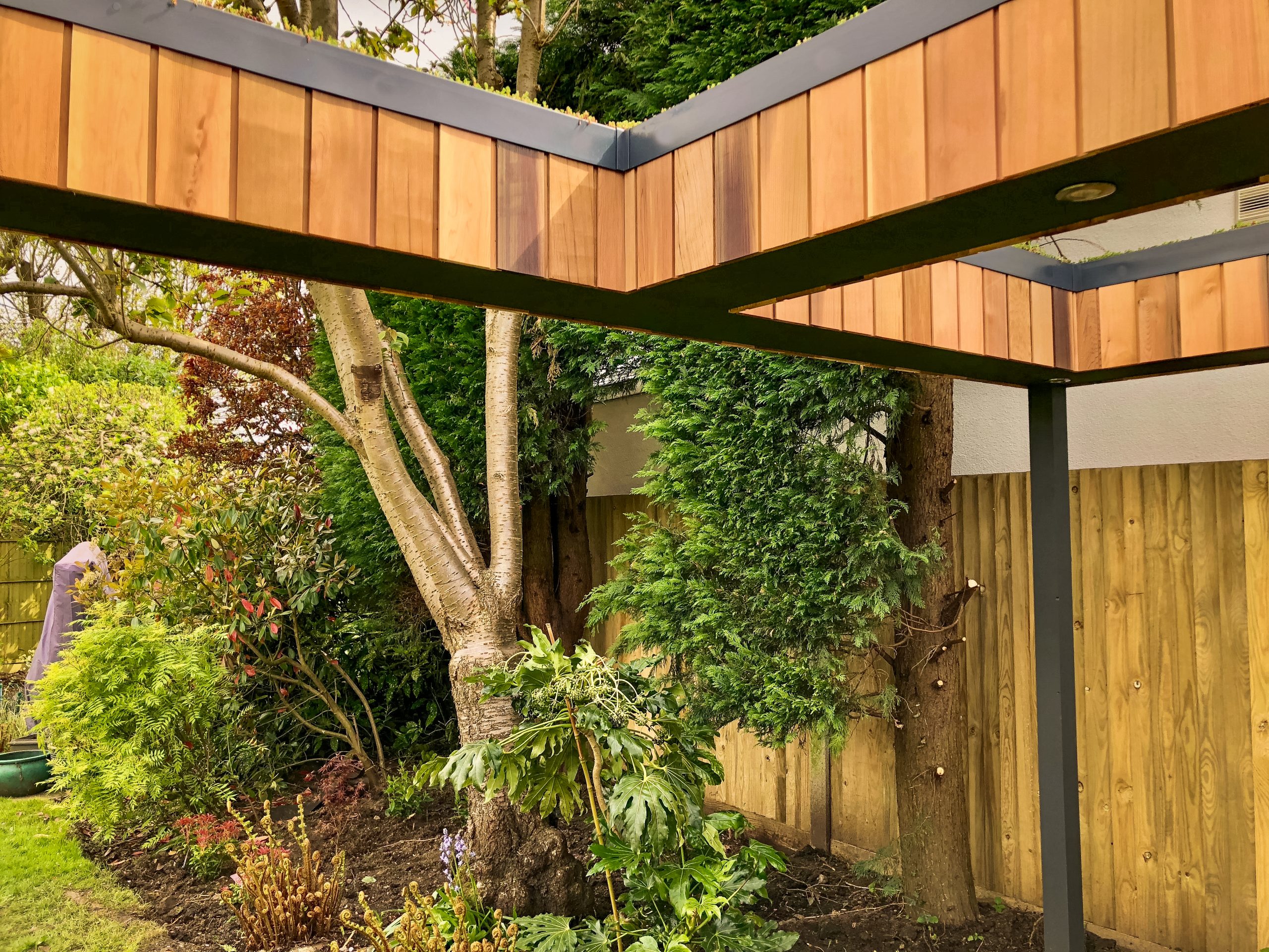 Exterior view of Vivid Green garden office space's overhang with western red cedar cladding, grey roof trim and sedum roof, set against a lush green garden backdrop.
