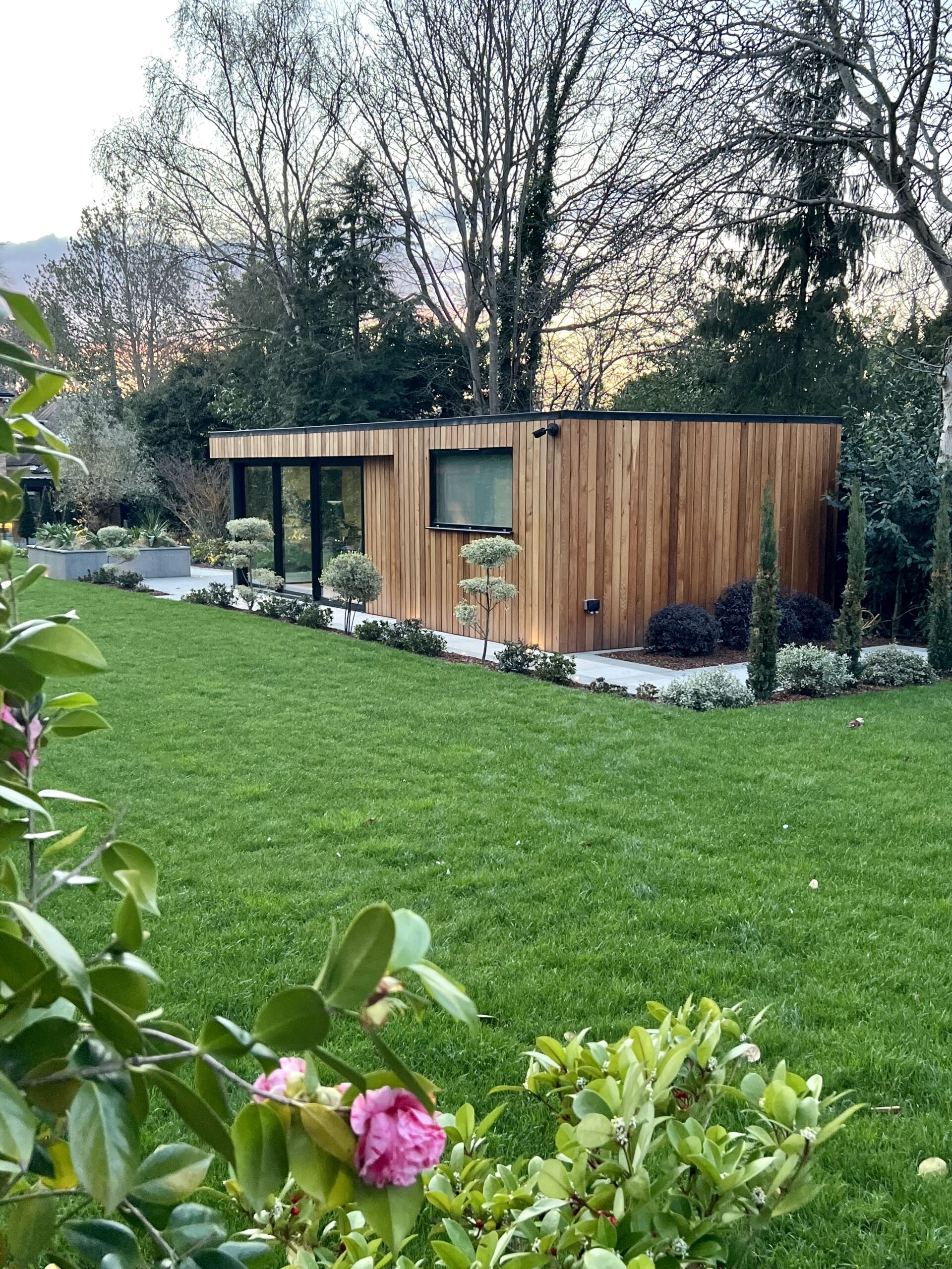 Exterior view of a lush garden featuring a flat roofed Vivid Green garden studio with western red cedar cladding, grey framed windows and doors and trees in the background